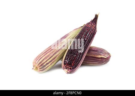 Siam Ruby Queen Corn isolated on white background, Can be eaten fresh ...
