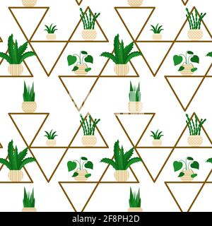 Seamless background with flowers on the shelf. Indoor plants in pots in the house. Houseplants on the shelves. Growing flowers. Decor elements. Vector Stock Vector