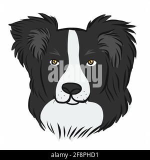 Border Collie dog face cartoon vector illustration Stock Vector