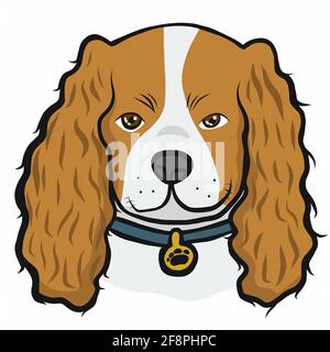 Cavalier King Charles Spaniel dog face cartoon vector illustration Stock Vector
