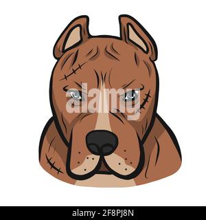 American pit-bull dog face cartoon vector illustration Stock Vector