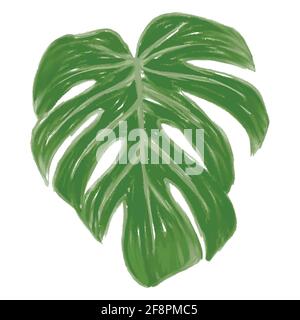 Monstera Tropical Jungle Plant Green Leaves. Flat Illustration Isolated on White. Stock Vector