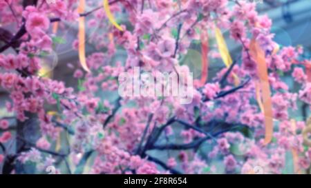 Blurred abstract background with pink apple flowers. Defocused image with glare and bokeh. Spring floral background with copy space Stock Photo
