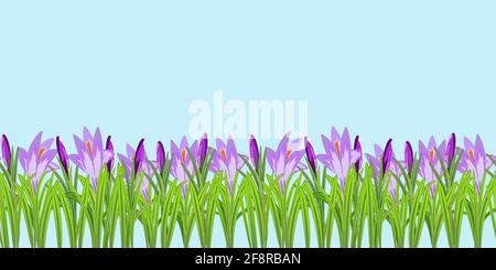 Crocus flowers seamless pattern vector illustration. Crocuses with buds, petals and stems around on the sides. Vector flowers nature seamless pattern Stock Vector