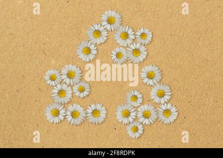 Recycling symbol made of daisy flowers - Concept of ecology and recycling Stock Photo