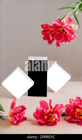 Composition with gift boxes and tulip flowers on pink background Stock ...