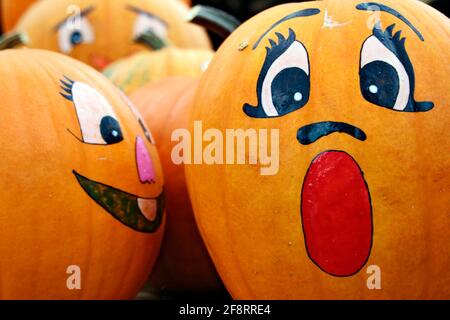 marrow, field pumpkin (Cucurbita pepo), pumpkin painted with a face Stock Photo