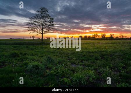 Meadow and tree without leaves, beautiful colorful clouds after sunset, Czulczyce, Lubelskie, Poland Stock Photo