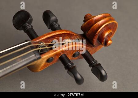 Deutschland. 09th Apr, 2021. The pegbox with the four conical pegs on an old violin. The violins are tuned on the pegs. The pegbox ends in a snail, which is made of finely carved wood. Detail shot against a gray background. | usage worldwide Credit: dpa/Alamy Live News Stock Photo