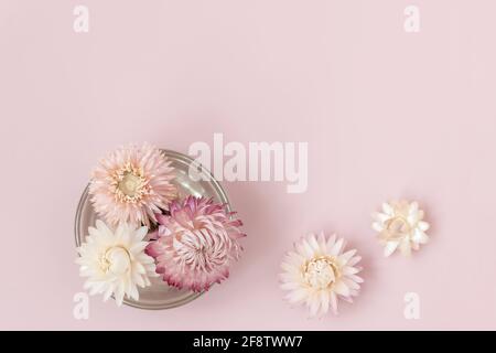 Floral flat lay greeting card with copy space. Stock Photo