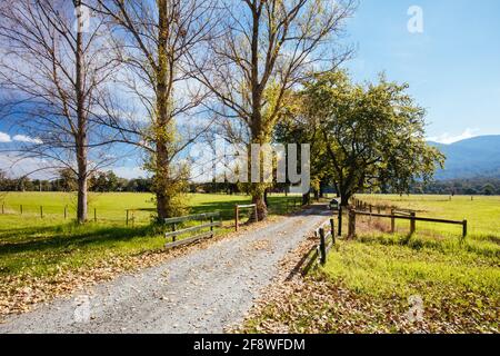 Lilydale to Warburton Rail Trail in Australia Stock Photo