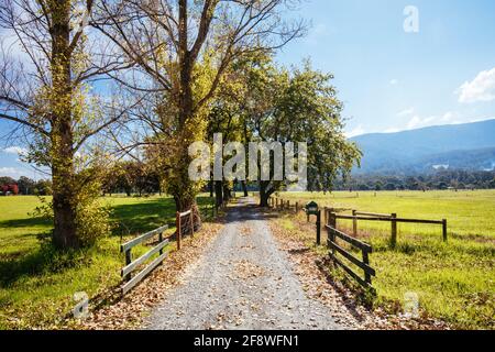 Lilydale to Warburton Rail Trail in Australia Stock Photo