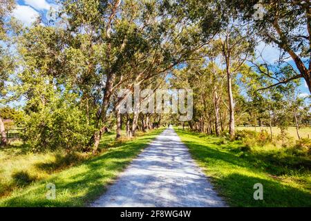 Lilydale to Warburton Rail Trail in Australia Stock Photo