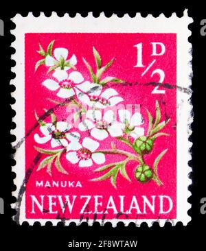 MOSCOW, RUSSIA - OCTOBER 1, 2019: Postage stamp printed in New Zealand shows Manuka (Leptospermum scoparium), Pictorial Definitives serie, circa 1967 Stock Photo