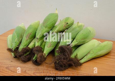 Green Corn On Board Surface Stock Photo