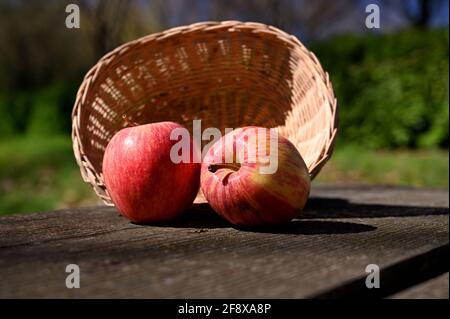 two apples and a basket on a wooden table Stock Photo