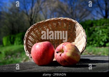 two apples and a basket on a wooden table Stock Photo