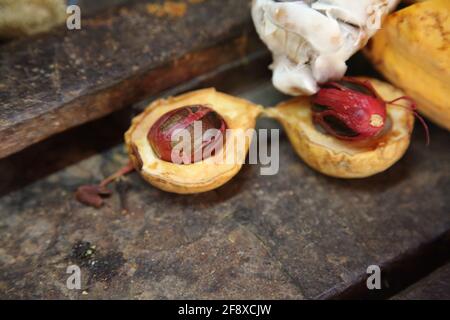 Dougaldston Estate Grenada Spice Plantation Cocoa Station Historic Boucan which has since been destroyed by Fire in May 2020 - Close up of nutmeg and Stock Photo