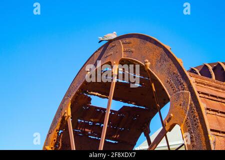 Stellenbosch, Cape Town, South Africa 08-04-2021  Large rusty wheels standing in the village center of Stellenbosch. Bird sitting on wheel. Stock Photo