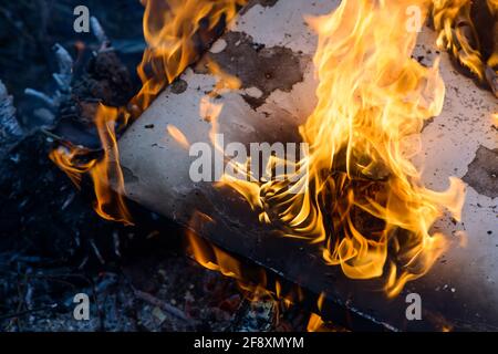 Spurts of flame. Burning wooden boards and logs. The bright flame of the fire. Combustible materials converted to coal, smoke  and ash by heat. Stock Photo