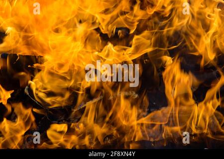 Spurts of flame. Burning wooden boards and logs. The bright flame of the fire. Combustible materials converted to coal, smoke  and ash by heat. Stock Photo