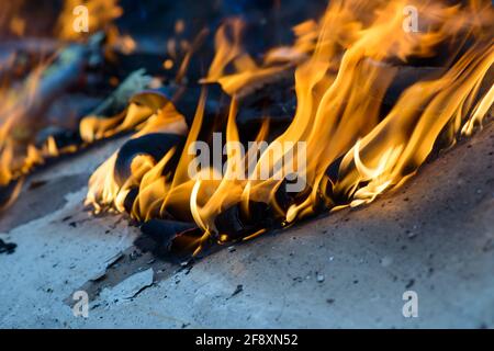 Spurts of flame. Burning wooden boards and logs. The bright flame of the fire. Combustible materials converted to coal, smoke  and ash by heat. Stock Photo