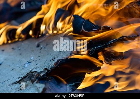 Spurts of flame. Burning wooden boards and logs. The bright flame of the fire. Combustible materials converted to coal, smoke  and ash by heat. Stock Photo