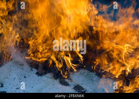 Spurts of flame. Burning wooden boards and logs. The bright flame of the fire. Combustible materials converted to coal, smoke  and ash by heat. Stock Photo