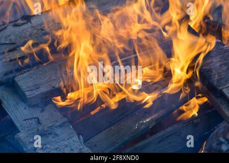 Spurts of flame. Burning wooden boards and logs. The bright flame of the fire. Combustible materials converted to coal, smoke  and ash by heat. Stock Photo