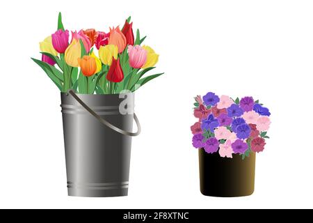 Spring set of flower bouquets. Tulips in a metal bucket and petunias in a flower pot. Vector illustration in a realistic style. Isolated on a white ba Stock Vector