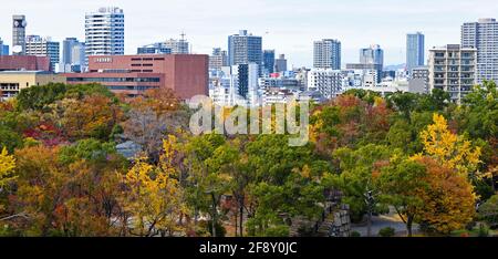 City skyline and trees in autumn colors, Nishinomaru Garden, Osaka Castle Park, Osaka, Japan Stock Photo