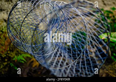 bag net fishing method Seine fishing