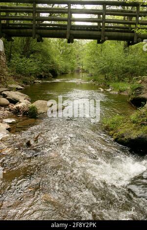 Blue Ridge Mountains, VA, USA. A foot bridge on the Appalachian Trail. Stock Photo