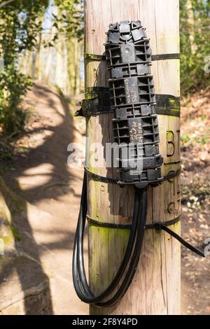 Tyco heavy duty cable joint attached to a BT telephone pole, England, UK Stock Photo