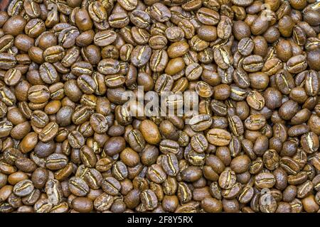 Coffee bean background, aromatic arabica roasted coffee Stock Photo