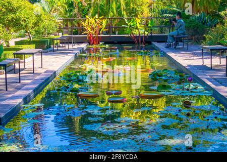 Stellenbosch University Botanical Garden, Cape Town, South Africa 08-04-2021  The peaceful lily pond of Stellenbosch University Botanical Garden. Stock Photo