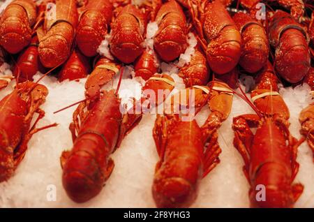 Seafood, Breton Lobster, Trouville Sur Mer, Deauville, Normandy, France Stock Photo