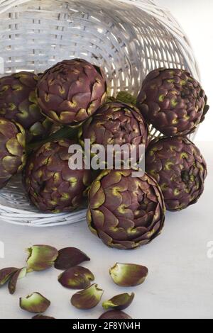 Fresh artichokes in the white basket isolated on white background. Stock Photo