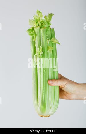 Celery stalks in an outstretched hand on a gray background. Healthy food concept, free space Stock Photo