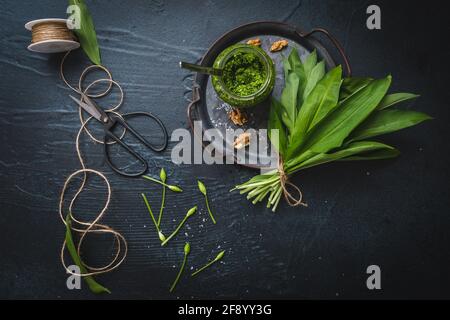 Homemade wild garlic pesto and walnuts on a metal tray, wild garlic leaves, a ribbon and scissors on black background Stock Photo