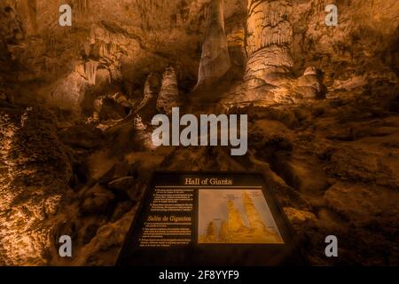 Hall of Giants interpretive sign deep underground in Carlsbad Caverns National Park, New Mexico, USA Stock Photo