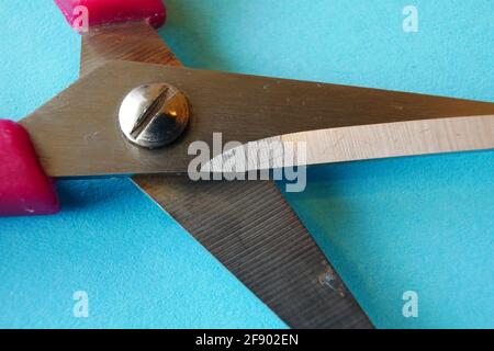 close up of metal scissors with red handle on blue paper Stock Photo