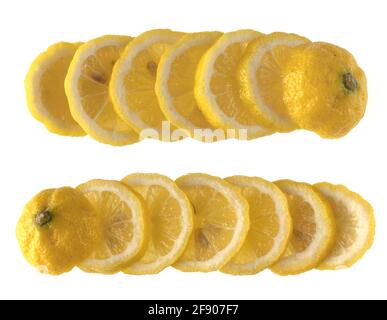 Collage of ripe lemon fruit cut into equal parts and laid out in rows on a white background Stock Photo