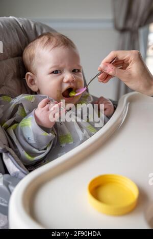 Baby boy taking a bite of avocado. Stock Photo