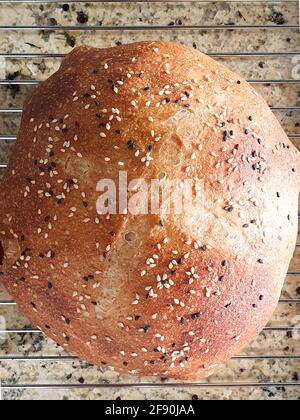 Round wheat whole grain bread loaf with black white cesame flat lay Stock Photo