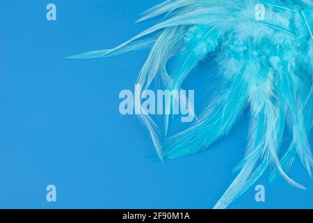 blue background with feather texture in light blue green embossed Stock Photo