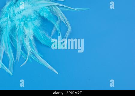 blue background with feather texture in light blue green embossed Stock Photo