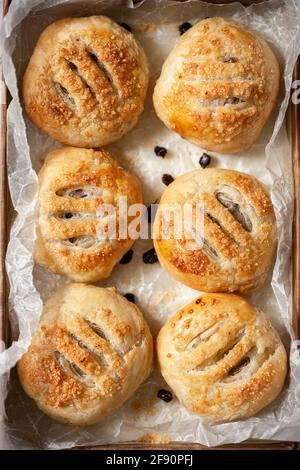Six Eccles cakes on wax paper Stock Photo