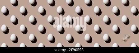 Chicken eggs and feather on beige background Pattern Stock Photo