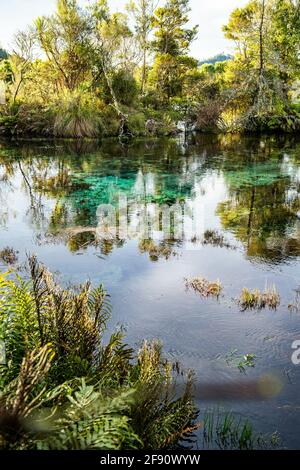 Pupu Pool Te Waikoropupu Springs in the Nelson region in New Zealand. This is ...
